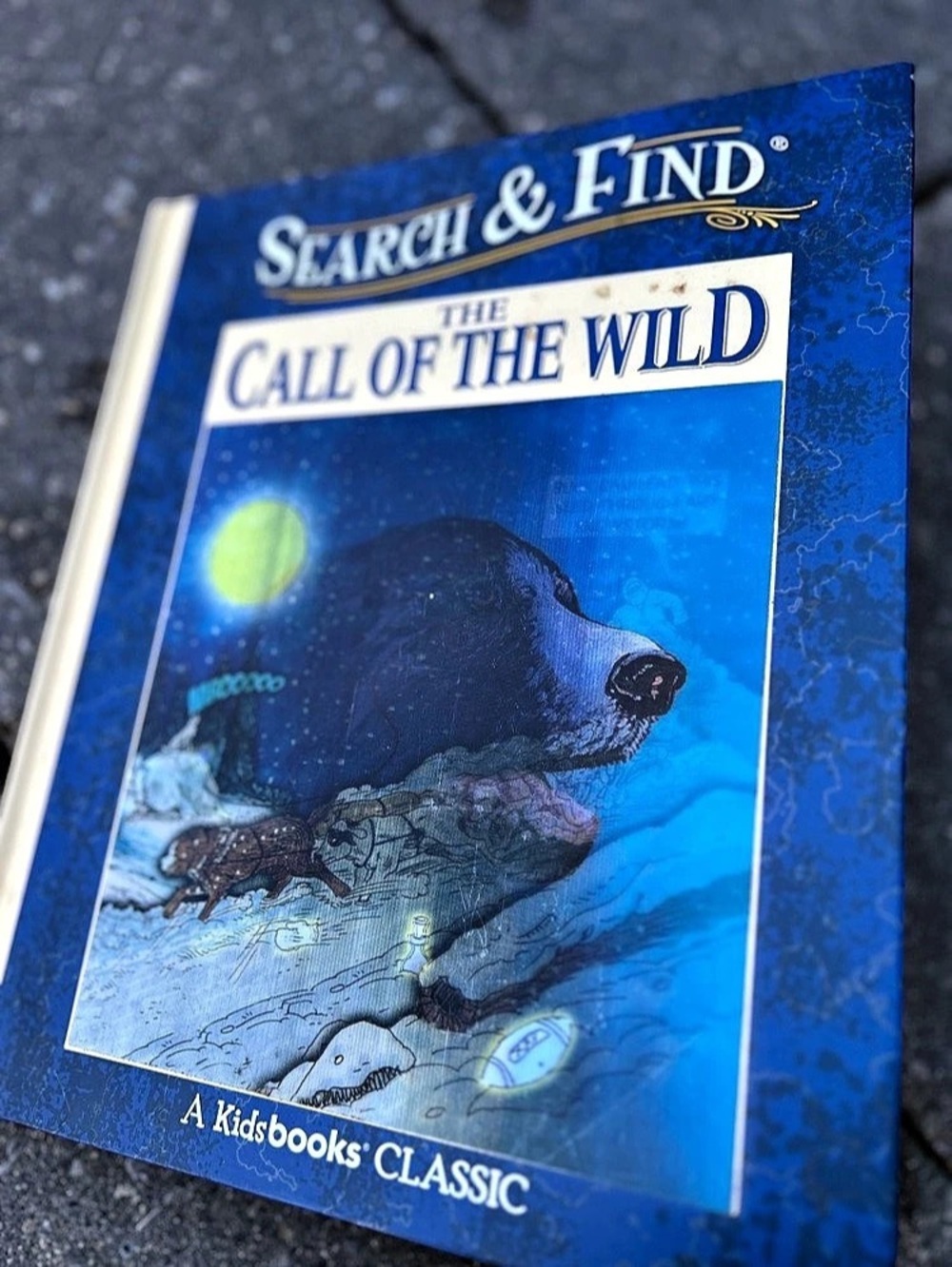 Search & Find Call of the Wild Illustrated Kids Book